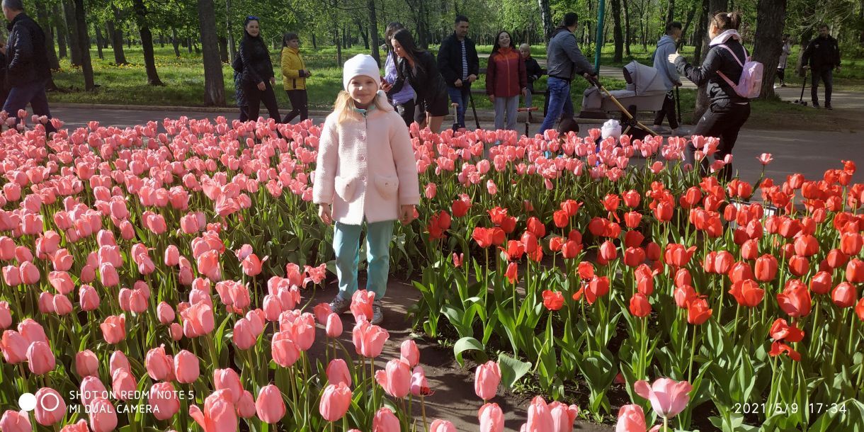 Отзывы о “Harvard, языковая школа” - фото 1