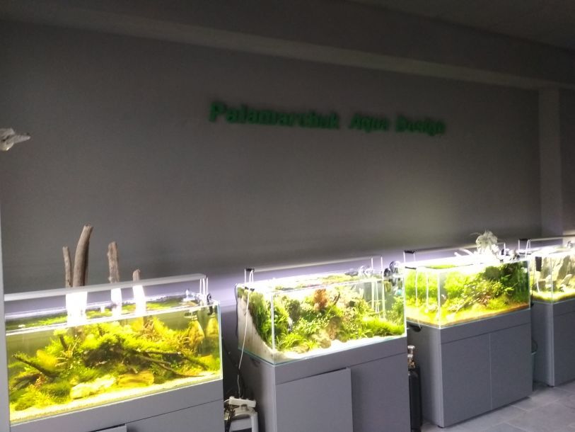 Отзывы о “Palamarchuk Aqua Design, студия аквариумов” - фото 1