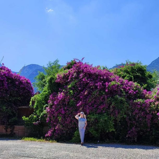 Відгуки про “RelaxTravel, турагентство” - фото 1