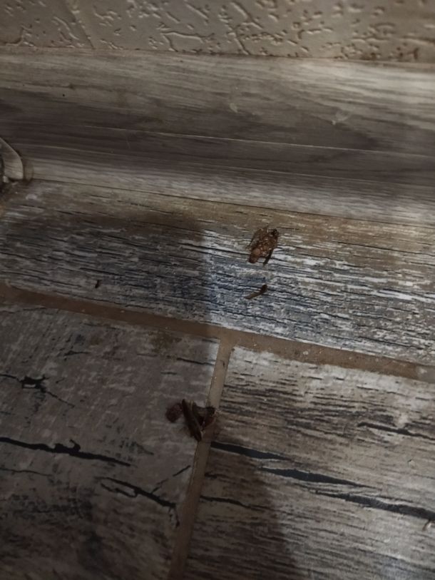 Відгуки про “Місто для людей Запоріжжя, керуюча компанія” - фото 1