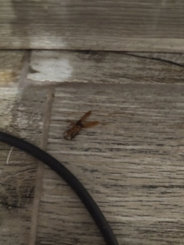 Відгуки про “Місто для людей Запоріжжя, керуюча компанія” - фото 2