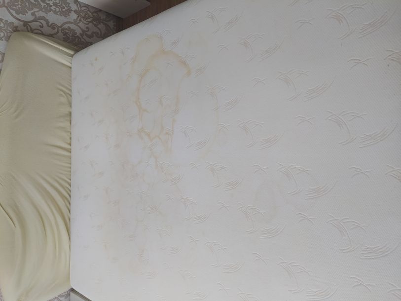 Відгуки про “Мойдодир, клінінгова компанія” - фото 1