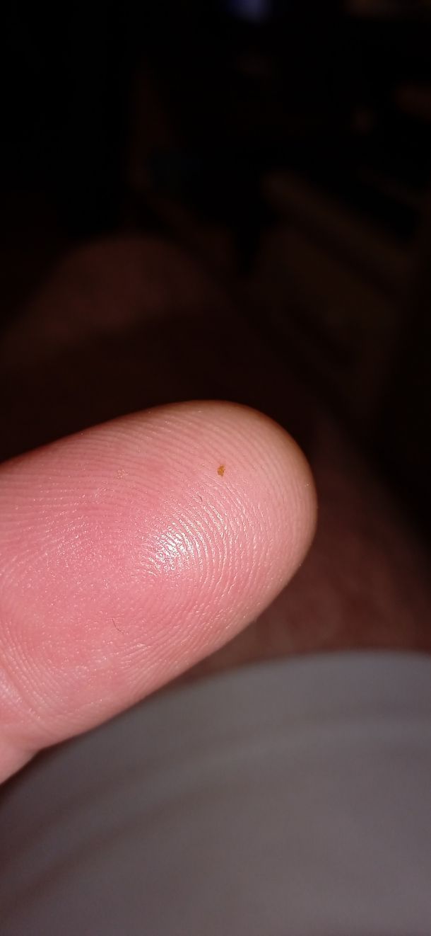 Відгуки про “Дезснаб, служба дезінфекції” - фото 1