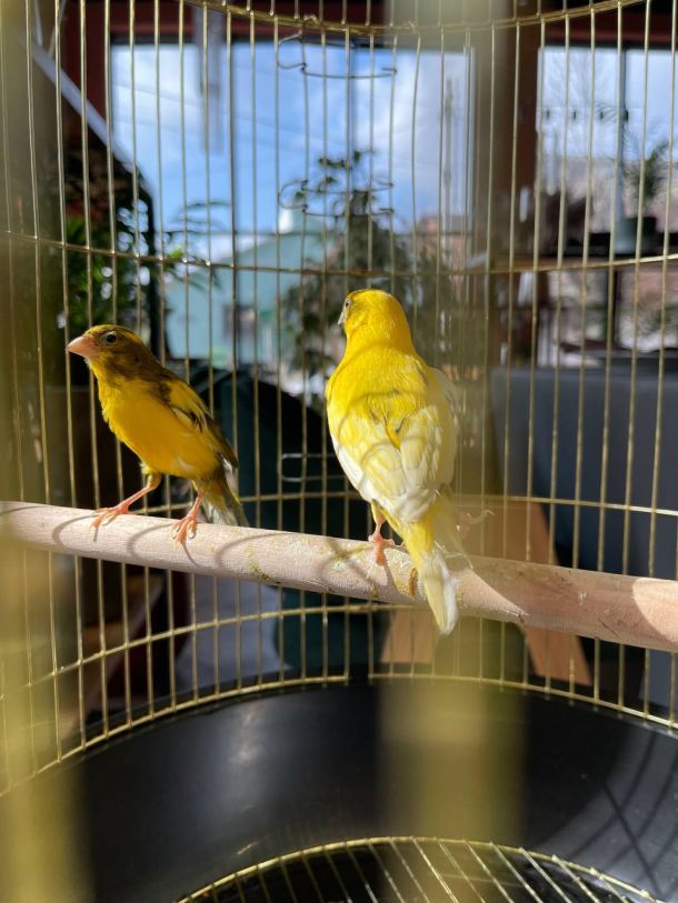 Відгуки про “Lolla, ресторан” - фото 1