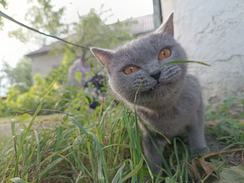 Відгуки про “Слон і Моська, ветеринарна клініка” - фото 1