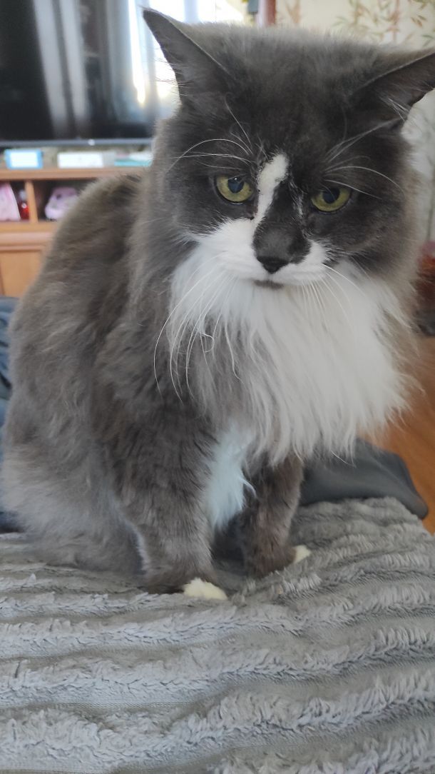 Відгуки про “Ветеринарна допомога Лесі Романюк, ветеринарна клініка” - фото 1