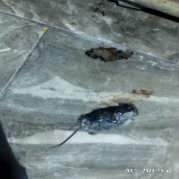 Відгуки про “Водопад, готельно ресторанний комплекс” - фото 1