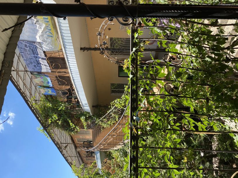 Відгуки про “Будинок Павлових, база відпочинку” - фото 1