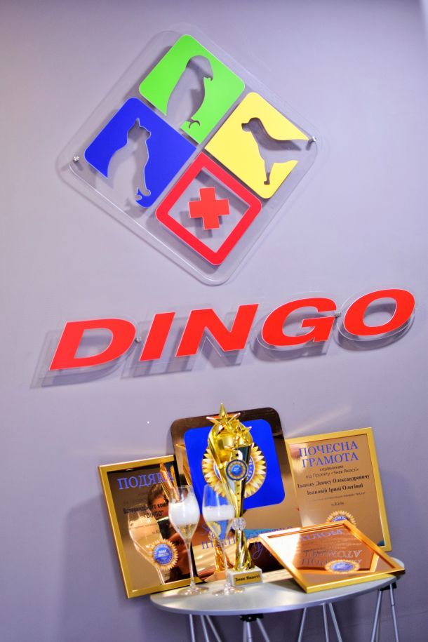 Відгуки про “Dingo, ветеринарна клініка” - фото 1