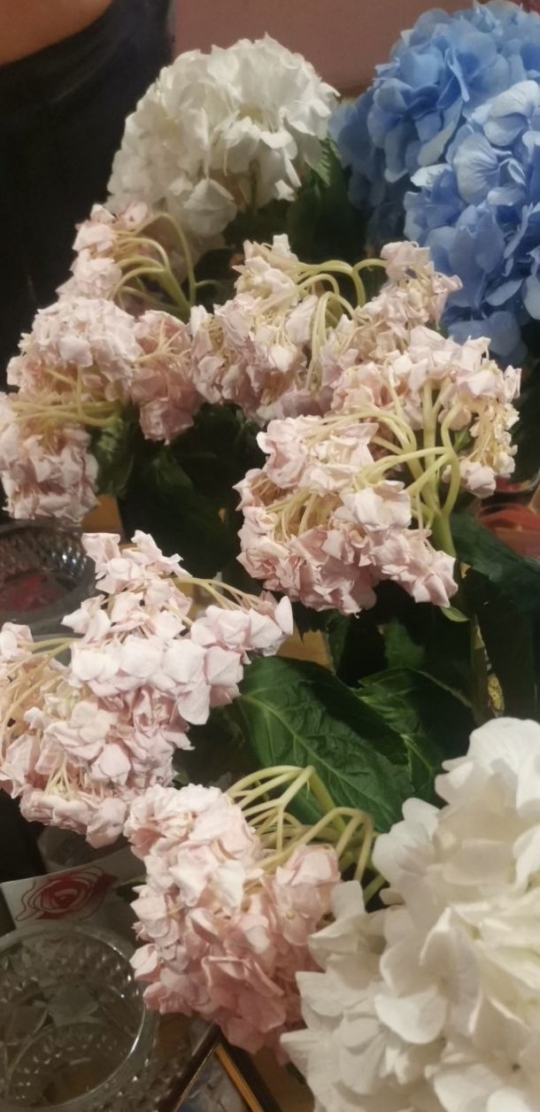 Отзывы о “Flower City, служба доставки” - фото 1