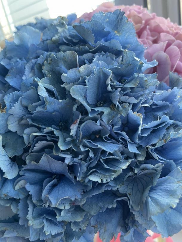 Відгуки про “Студія Квітів Flora VIP Luxe, квітковий магазин” - фото 1