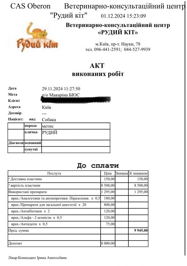 Отзывы о “Рыжий кот, ветеринарная клиника” - фото 1