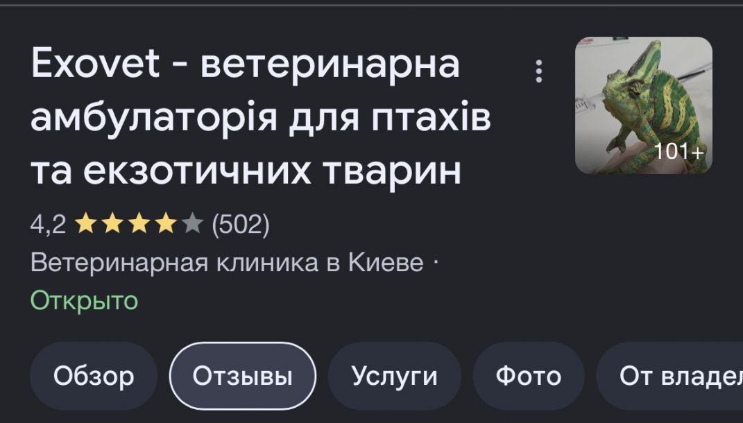 Отзывы о “Exovet, ветеринарная клиника” - фото 2