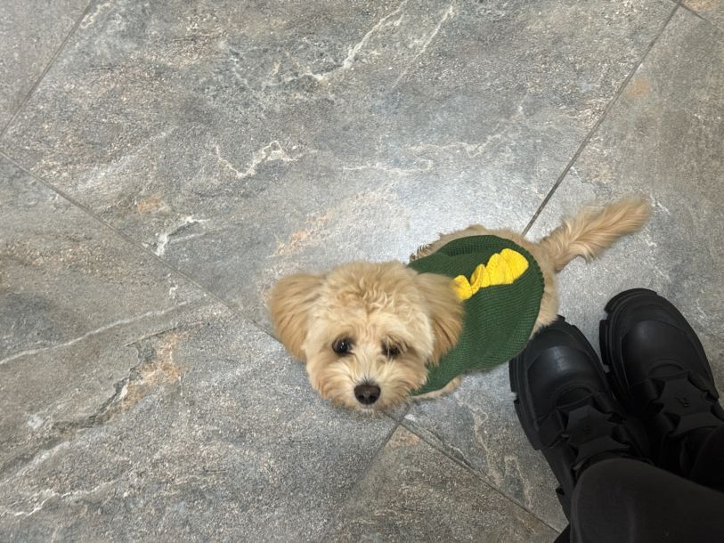 Отзывы о “Дискавери, ветеринарная клиника” - фото 1