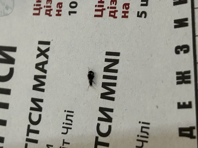 Отзывы о “Grand Pizza, пиццерия” - фото 1