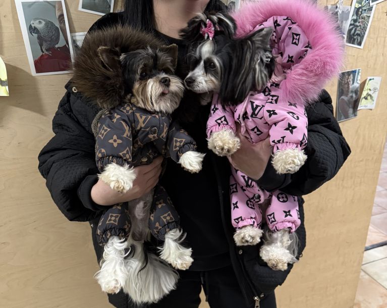 Відгуки про “LicoVet, ветеринарна клініка” - фото 1