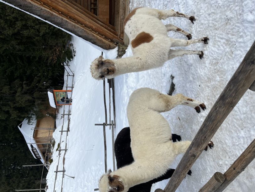 Отзывы о “Стрельбицкая Н.И., турагентство НИКА-ТУР-ВОЯЖ” - фото 1