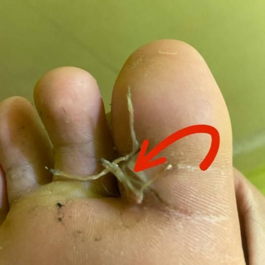 Відгуки про “Криворізька міська лікарня №8” - фото 1