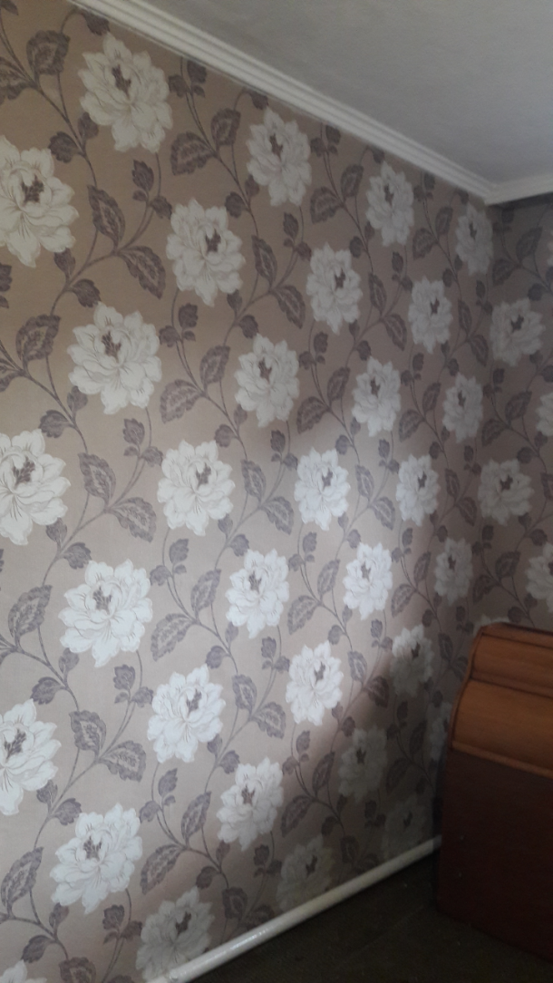 Отзывы о “Domus, салон обоев” - фото 2