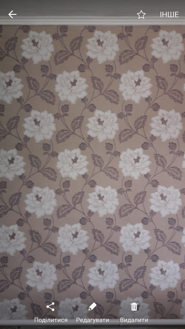 Отзывы о “Domus, салон обоев” - фото 1