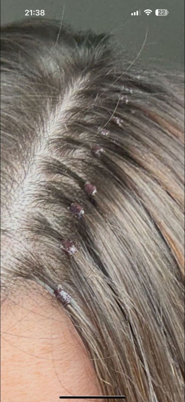 Відгуки про “Studio Bestia, студія нарощування волосся” - фото 1