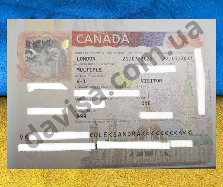 Відгуки про “Davisa, центр міграційної підтримки” - фото 2