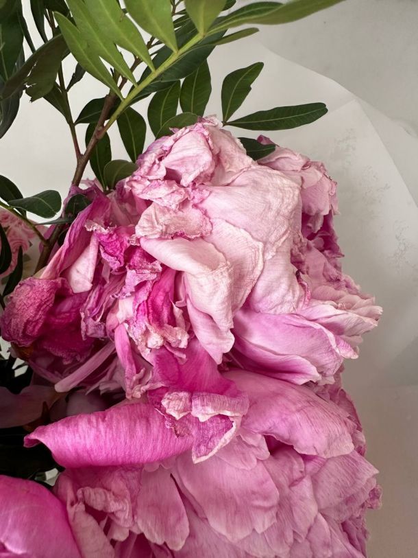 Відгуки про “SunRose, доставка квітів” - фото 1