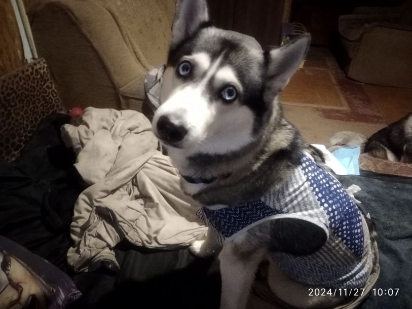 Отзывы о “Акита, ветеринарная клиника” - фото 1