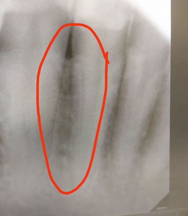 Відгуки про “Експерт, стоматологічна клініка” - фото 1