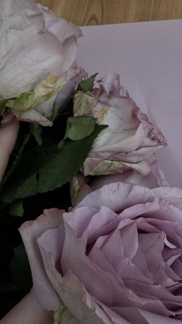 Відгуки про “Flora VIP Luxe, студія квітів” - фото 1