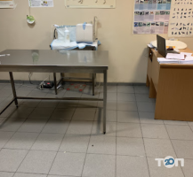 Калмикова Е.Н. Київ фото