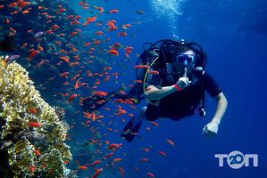 отзывы о Emmi-tour фото