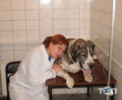 Ветеринарний госпіталь на Олексіївці відгуки фото