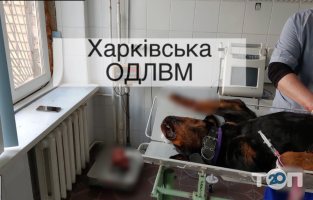 Участковая государственная лечебница ветеринарной медицины № 1 отзывы фото
