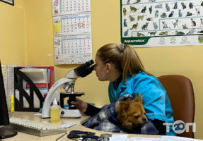 Animal Care Clinic відгуки фото