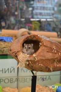 Zooлогія Львів фото