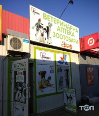 Зоодоктор, ветеринарная клиника фото