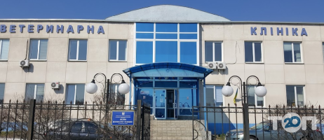 Мрт тварин, ветеринарна клініка фото