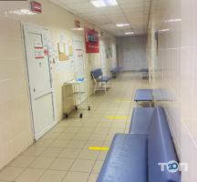 Міська клініка дрібних тварин Київ фото