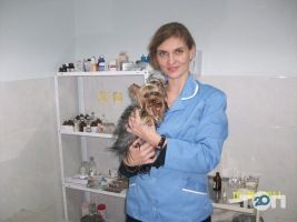 Полівет, ветеринарна клініка фото