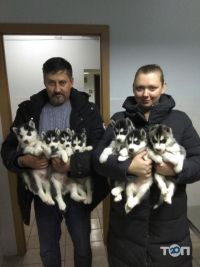 Полівет відгуки фото