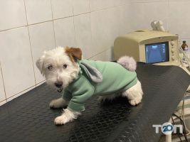 Ветеринарні клініки Полівет фото