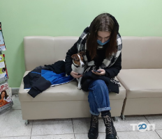 Центр здоров'я тварин Київ фото