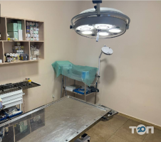 Клініка ветеринарної медицини Величко С. відгуки фото