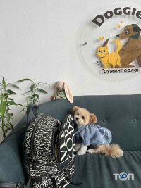 відгуки про Doggies фото