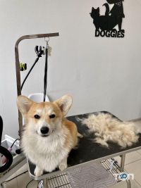 відгуки про Doggies фото