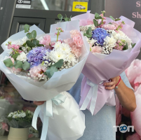 Silva Кропивницкий фото