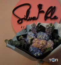 Silva отзывы фото