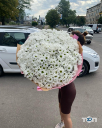 Магазины цветов Silva фото