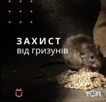 Стоп! Кукарача, служба контроля вредителей фото